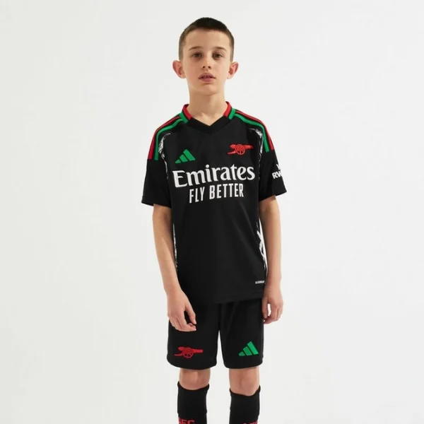 arsenal adidas kinder 2425 auswärtstrikot Kategorien für Arsenal-Unterstützer